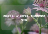 绝地求生（PUBG）衣服交易，市场背后的机遇与风险