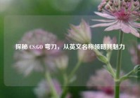 探秘 CS:GO 弯刀，从英文名称领略其魅力