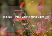 和平精英，宠物小黄鸡的奇妙之旅及位置介绍