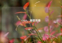 CSGO，渣怪传奇