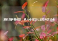 逆战新阵营崛起，战火中现新力量及阵营标志