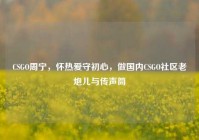 CSGO周宁，怀热爱守初心，做国内CSGO社区老炮儿与传声筒