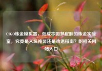 CSGO炼金模拟器，低成本圆梦皮肤的炼金实验室，究竟是入坑神器还是劝退指南？附相关网站入口