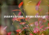 逆战战术交流与搭配，提升团队实力的关键