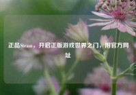 正品Steam，开启正版游戏世界之门，附官方网址