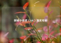 探秘小老虎（LOL）真实年龄
