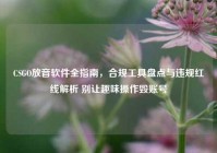 CSGO放音软件全指南，合规工具盘点与违规红线解析 别让趣味操作毁账号