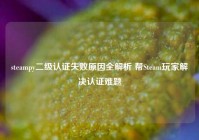 steampy二级认证失败原因全解析 帮Steam玩家解决认证难题