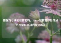 藏在方寸间的教育密码，STEAM教育图标如何成为跨学科学习的视觉锚点