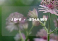 全面解析，Steam用什么邮箱登录