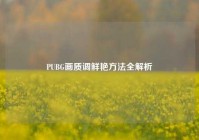 PUBG画质调鲜艳方法全解析