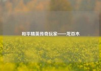和平精英传奇玩家——龙百木