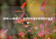 探寻CSGO骷髅刀，游戏致命美学背后的价格之谜