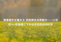 青春脚步丈量乡土 实践微光点亮振兴——XX学院2024年暑期三下乡社会实践活动纪实