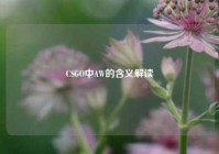 CSGO中AW的含义解读
