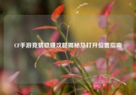 CF手游竞猜稳赚攻略揭秘及打开位置指南