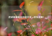 逆战客服搞笑对话大全，欢乐无限！