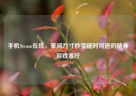 手机Steam在线，掌间方寸秒变随时可进的随身游戏客厅