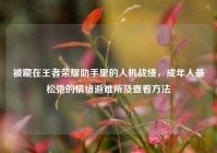 被藏在王者荣耀助手里的人机战绩，成年人最松弛的情绪避难所及查看方法
