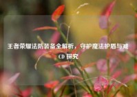 王者荣耀法防装备全解析，守护魔法护盾与减 CD 探究