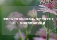 殷勤PUBG优化程序实用指南，借助专属优化工具，让你的吃鸡体验重回丝滑
