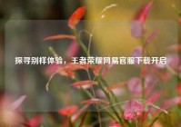 探寻别样体验，王者荣耀网易官服下载开启
