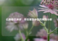 云阳婚恋测评：寻找理想伴侣的利弊分析