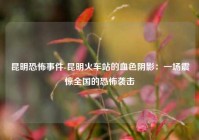 昆明恐怖事件-昆明火车站的血色阴影：一场震惊全国的恐怖袭击