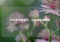 PUBG卧倒键消失，玩家体验遭重创