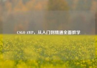 CSGO AWP，从入门到精通全面教学