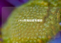 CSGO常用按键有哪些