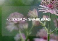 CSGO读取游戏后卡住的原因及解决办法