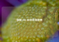 探秘 LOL 中的奇异世界