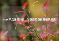 PUBG产品深度剖析、发展展望及代码相关探究