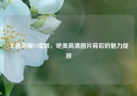 王者荣耀S7虞姬，绝美高清图片背后的魅力绽放
