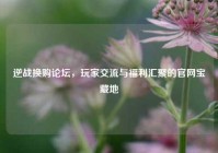 逆战换购论坛，玩家交流与福利汇聚的官网宝藏地