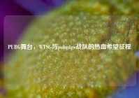 PUBG舞台，WTSG与pubgdgw战队的热血希望征程