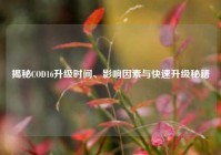 揭秘COD16升级时间、影响因素与快速升级秘籍