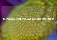 探秘COD16，特战兵语音背后密码及特战包用途