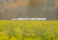 B610cF钢板的多元用途深度解析