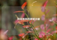 阿莱斯特的神秘力量