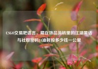 CSGO交易吧语言，藏在饰品流转里的江湖黑话与社群密码14油耗投多少钱一公里