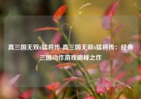 真三国无双6猛将传-真三国无双6猛将传：经典三国动作游戏巅峰之作