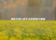 单机手游CF进不去的原因大揭秘