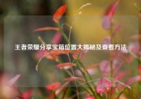 王者荣耀分享宝箱位置大揭秘及查看方法