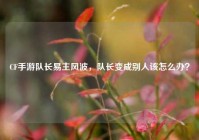 CF手游队长易主风波，队长变成别人该怎么办？