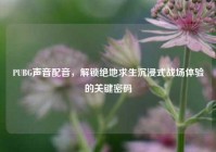 PUBG声音配音，解锁绝地求生沉浸式战场体验的关键密码
