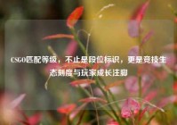CSGO匹配等级，不止是段位标识，更是竞技生态刻度与玩家成长注脚