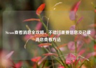 Steam查看消息全攻略，不错过重要信息及已读消息查看方法
