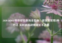 2020-2026CF等级经验查询全指南，老玩家常用3种方法 实时追踪战绩成长不迷路